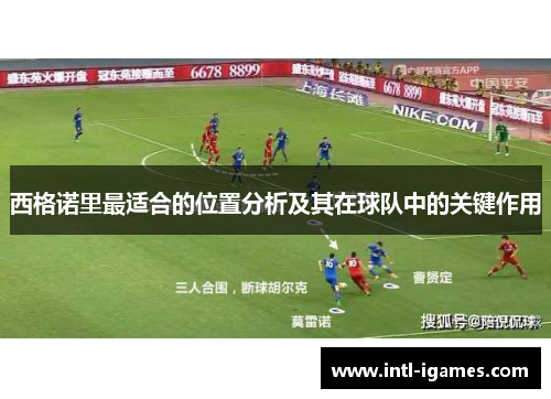 西格诺里最适合的位置分析及其在球队中的关键作用